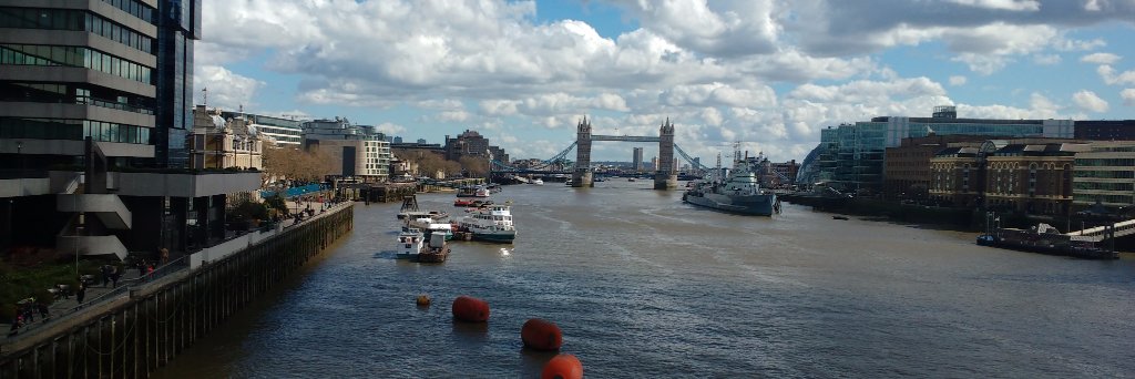yardley_ellen's profile banner image