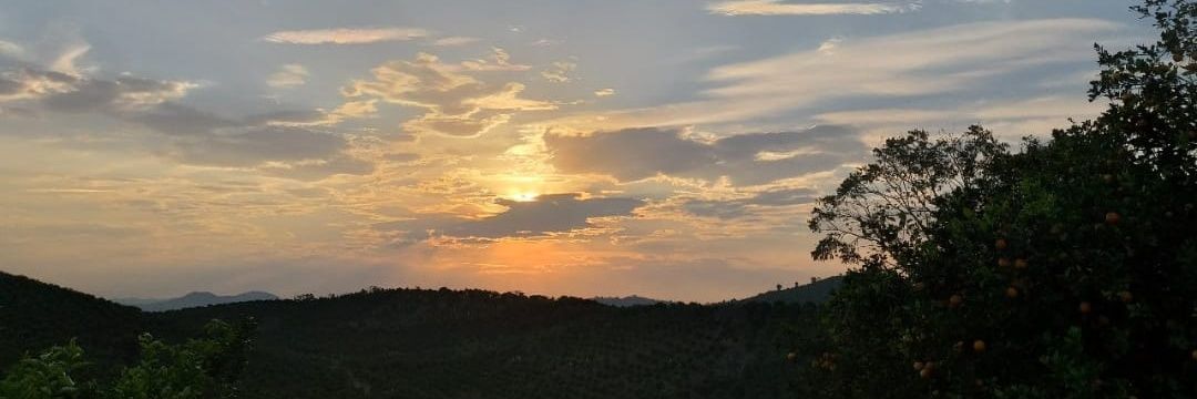 miguelhdjar's profile banner image