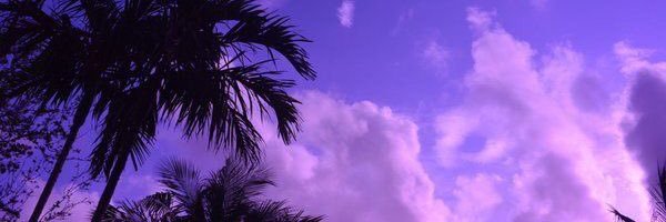 leannefoisey's profile banner image