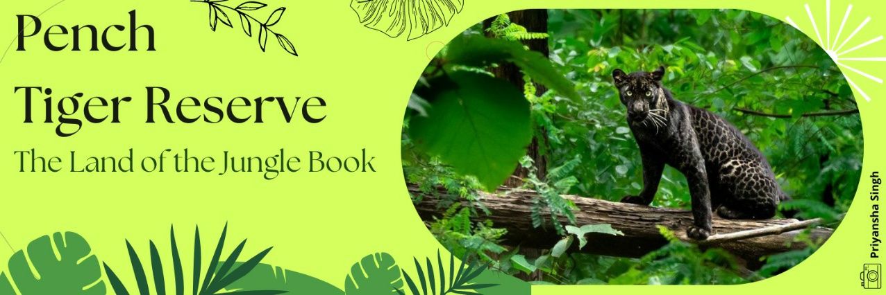 Pench Tiger Reserve banner