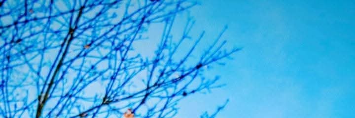 NadiaCastaneda's profile banner image