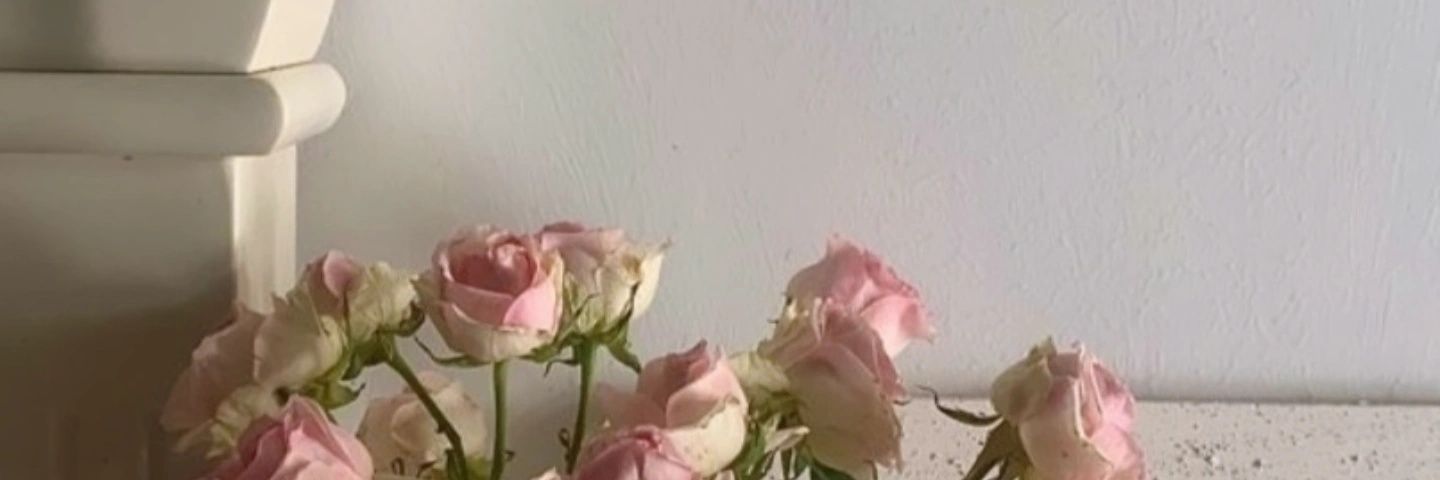 AmanyElsayed23's profile banner image