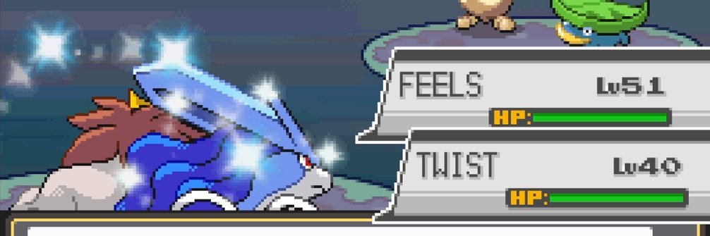 Shkel's banner