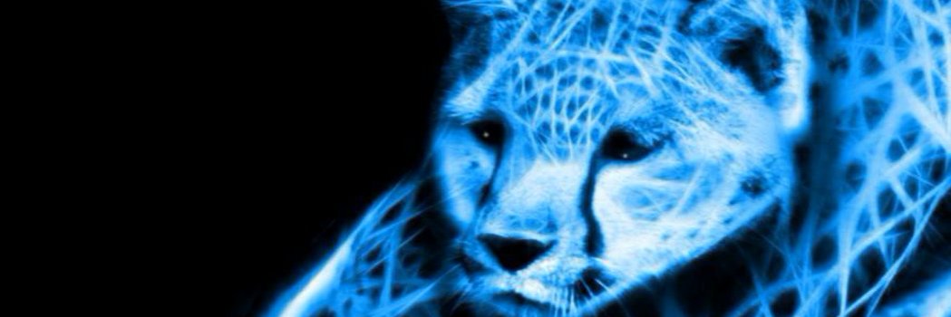 Stuart Macdonald banner