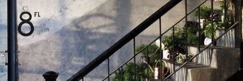 Cherry Princess banner