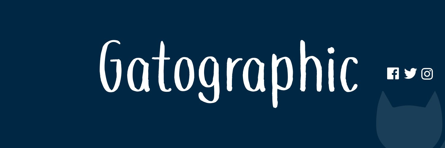 Gatographic banner