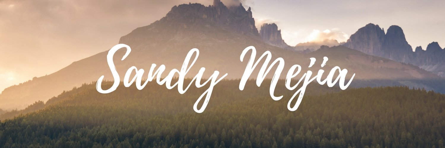 1SandyMejia's profile banner image