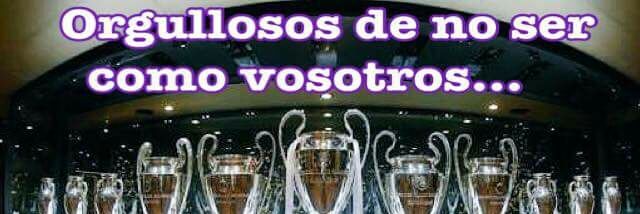 Alex banner