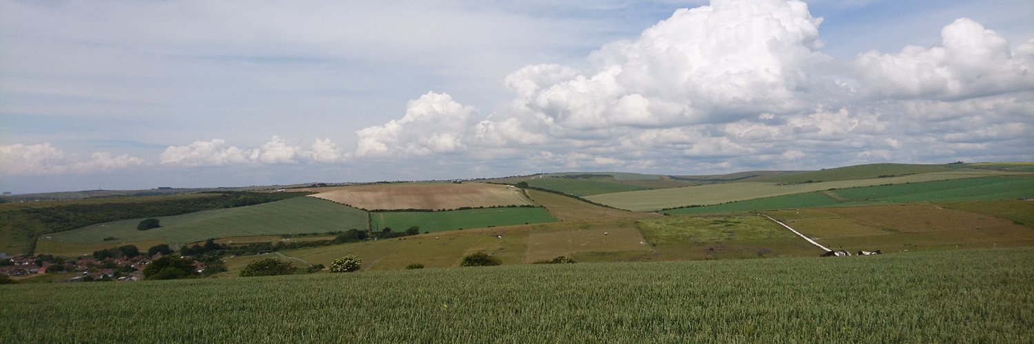 cowtipers's profile banner image