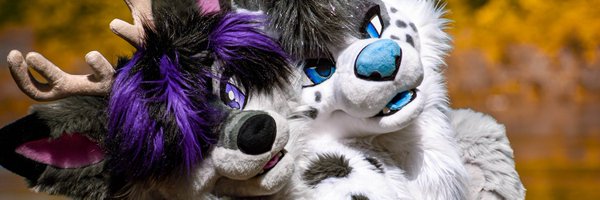 Aurorakins Profile Banner