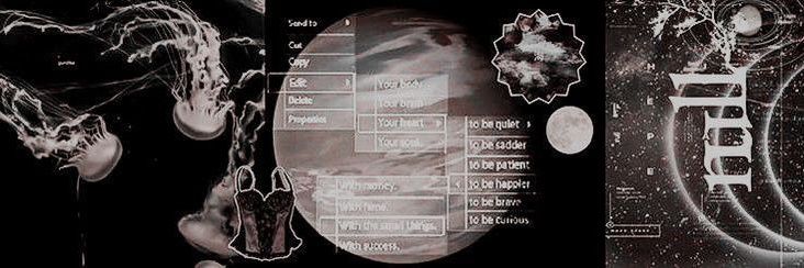 Hans Heinrich. banner