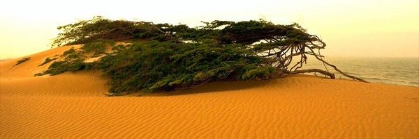 OsKaReMV's profile banner image