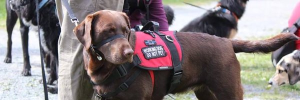 CIADSociety Profile Banner