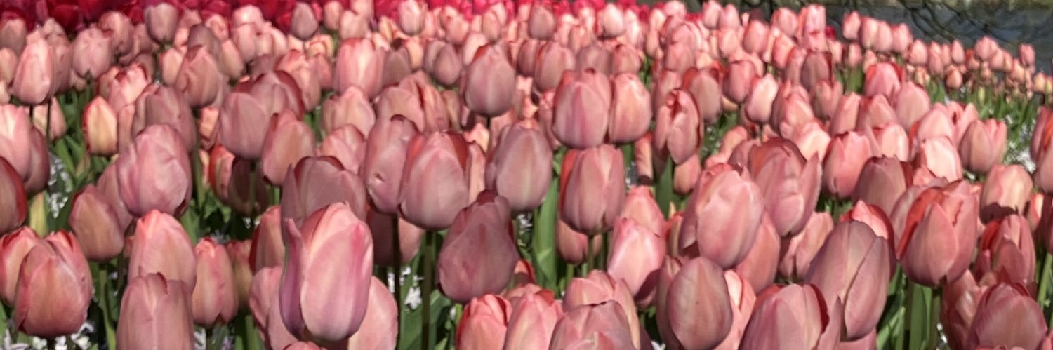 Gareth Manning FCIHort banner