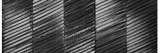 FrancoisVidalCastel banner