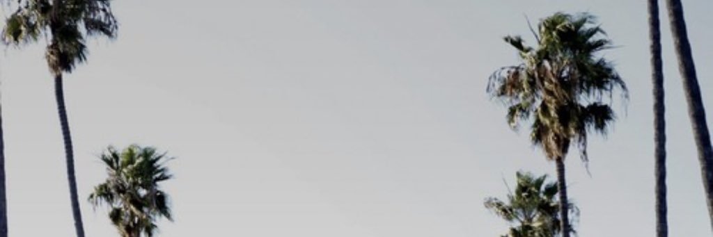 _Osocole's profile banner image