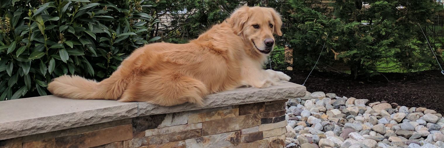 leesburglee's profile banner image