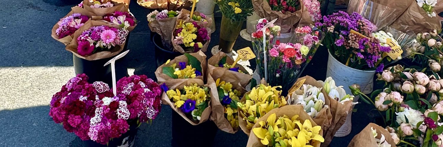 Stella Kilpatrick banner