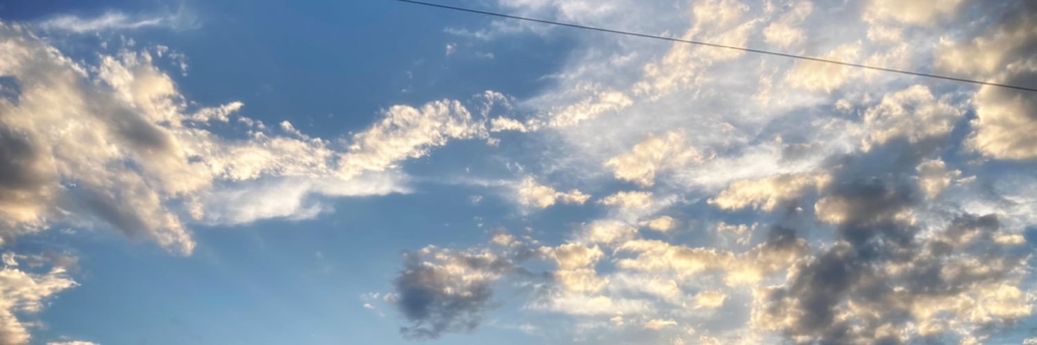 MI40445903's profile banner image