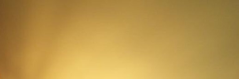 P05275273's profile banner image