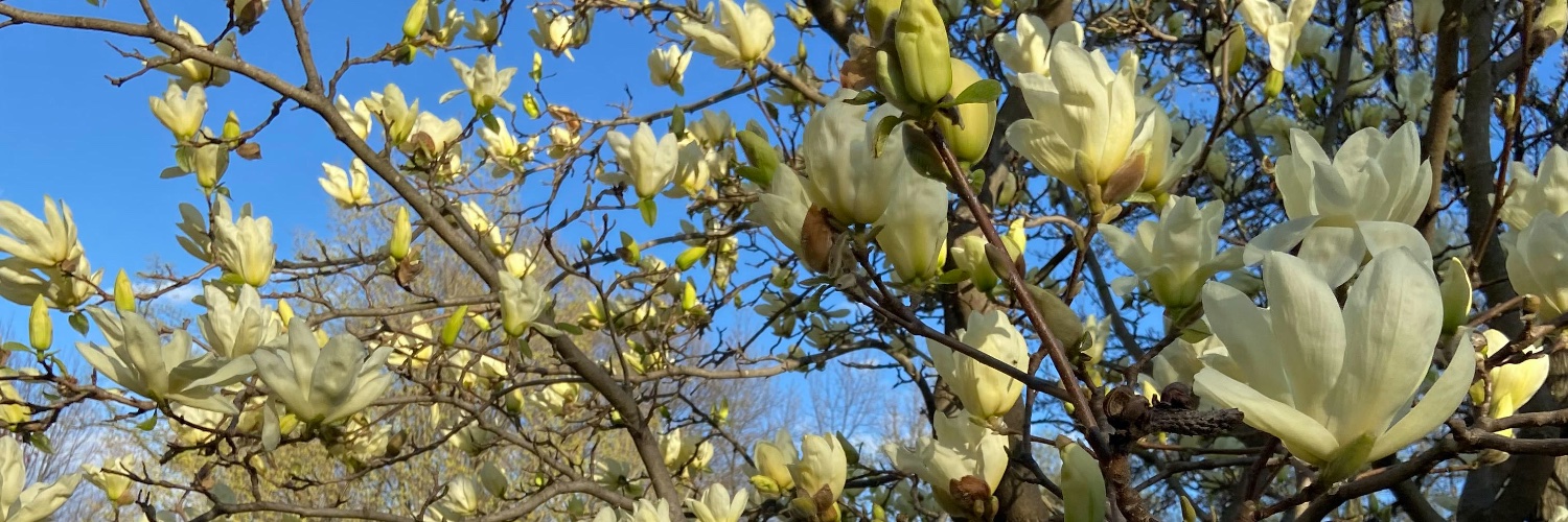 Future PI Slack banner