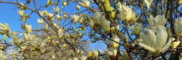 FuturePI_Slack Profile Banner