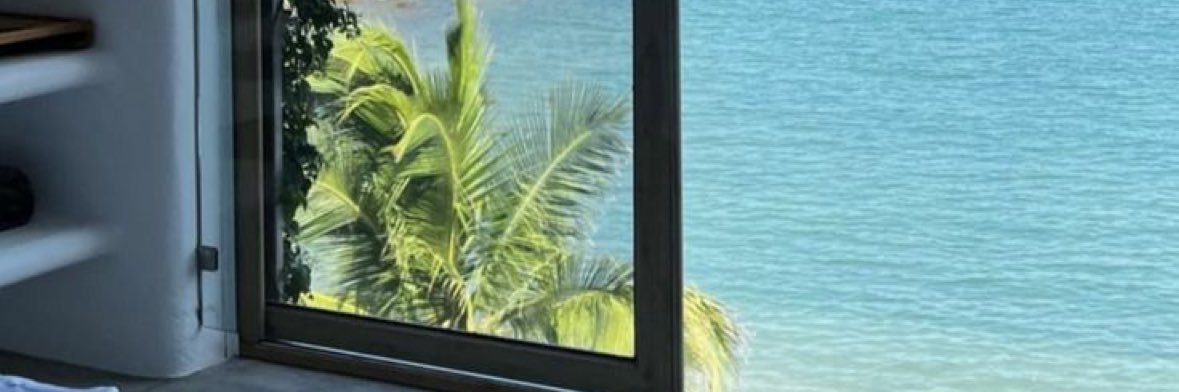 🐦 banner