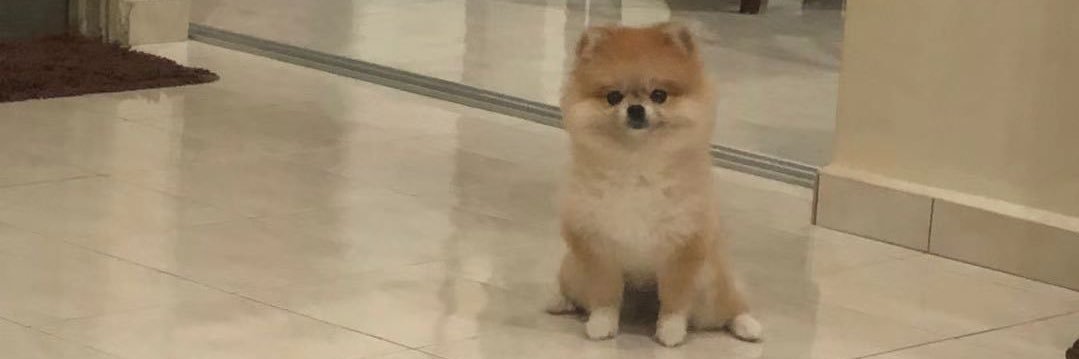 KimmyLLW's profile banner image