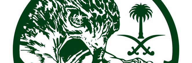 madyah07's profile banner image