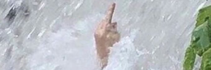 SherJavan's profile banner image
