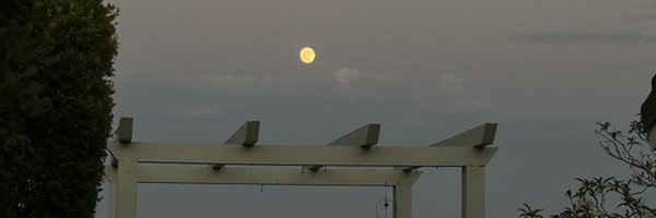 filteredsprite Profile Banner