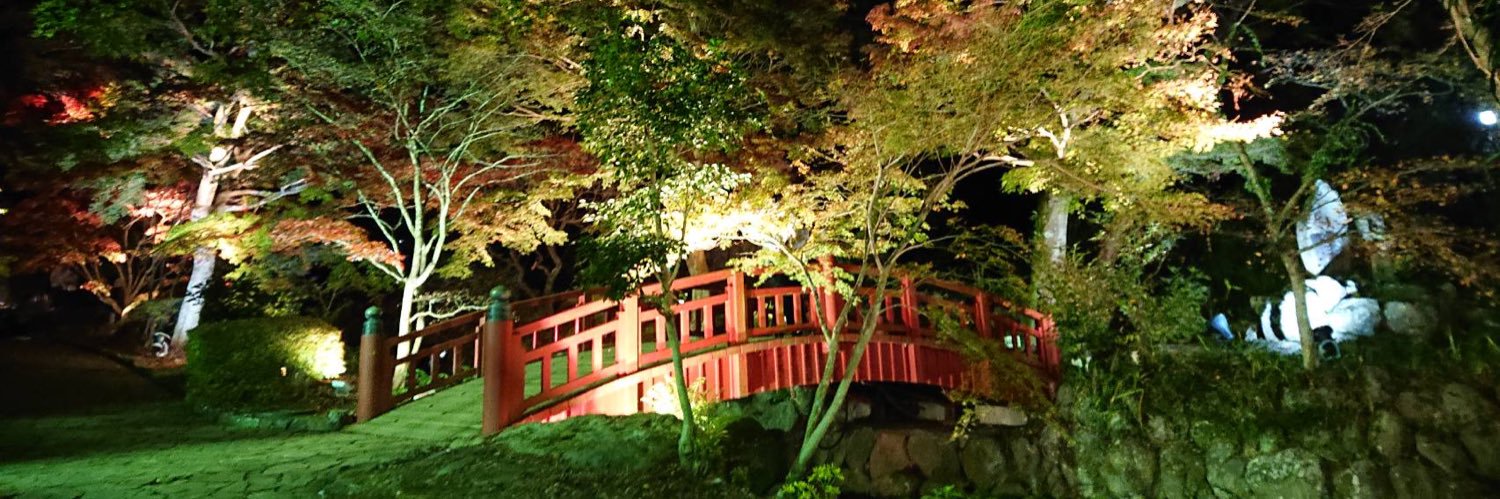 狐龍美咲@リトリン必読/手渡しは固定と固定ツリーへ banner