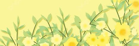 acarolinesm's profile banner image