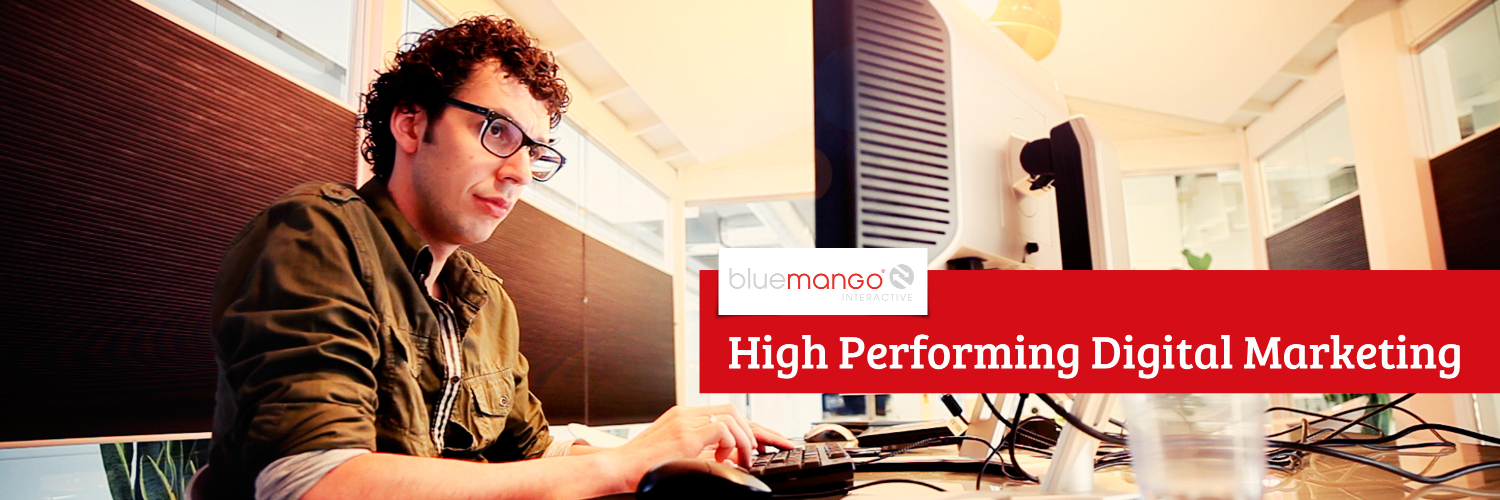 BlueMangoInteractive banner