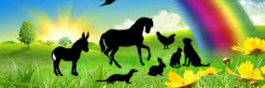 bunsrule's profile banner image