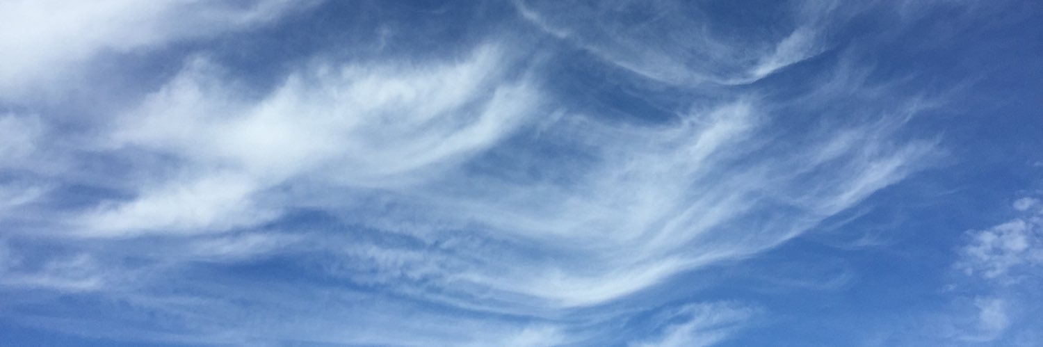 birgit_raab's profile banner image
