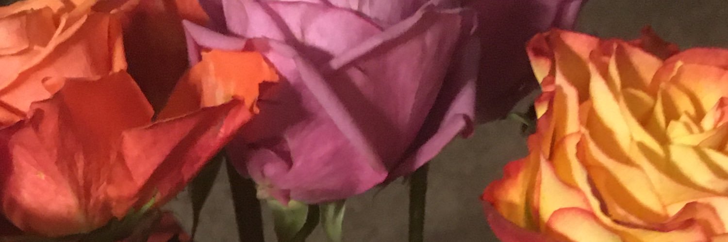 Alex Rice, MD banner