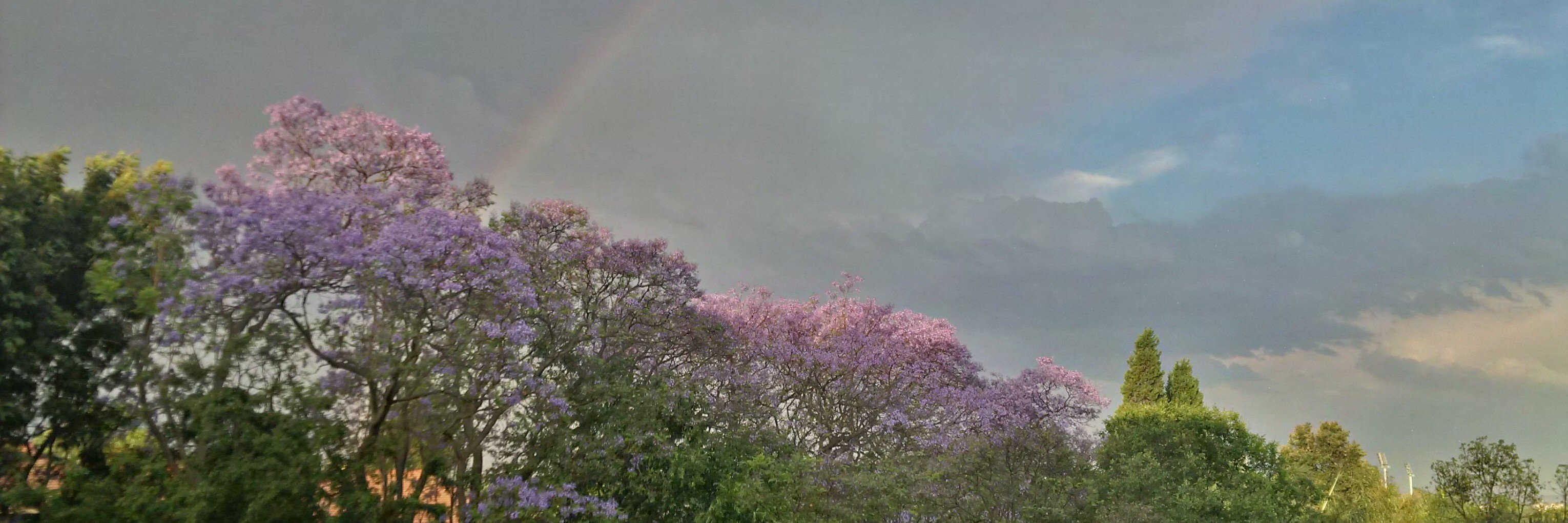 Simone Double-Masked Puterman banner