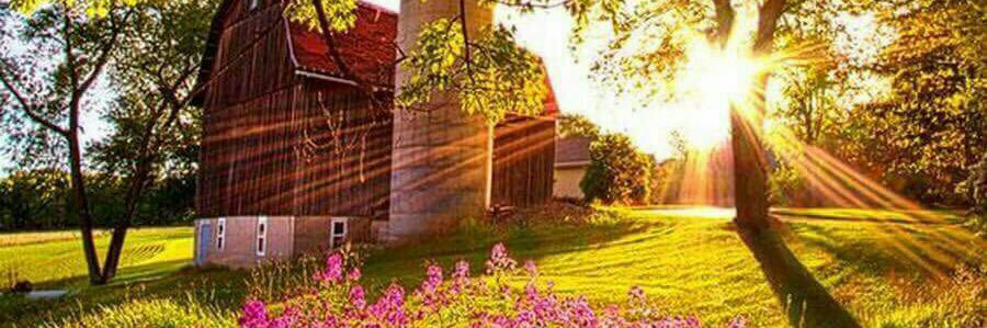 wkalhed's profile banner image