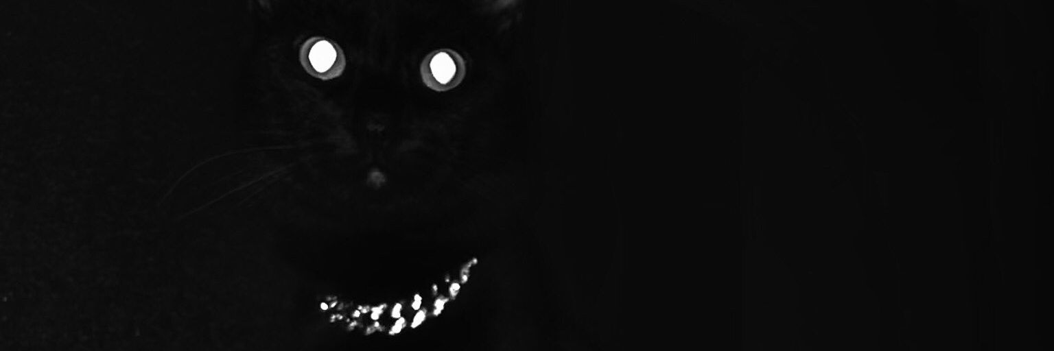 CaduRdg_'s profile banner image