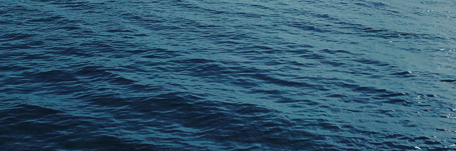 radittlo's profile banner image