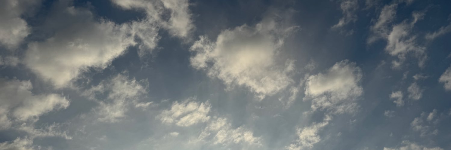 nicole_borjam's profile banner image