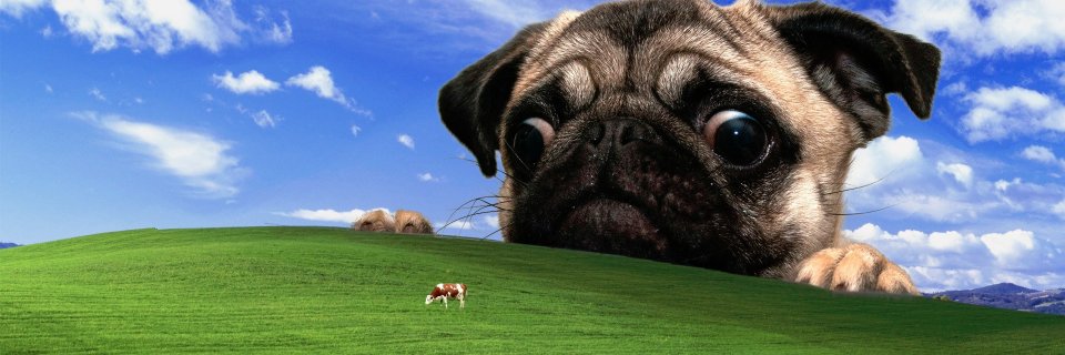 Gito_CS's profile banner image