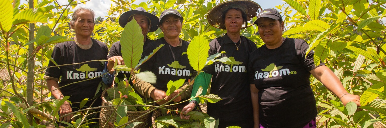 KratomEU's profile banner image