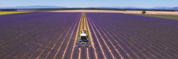 VernetDenis Profile Banner