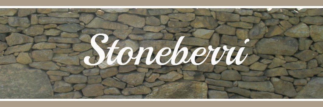 Stoneberri's banner