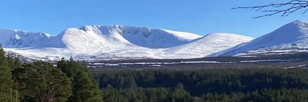 hutton_mark Profile Banner