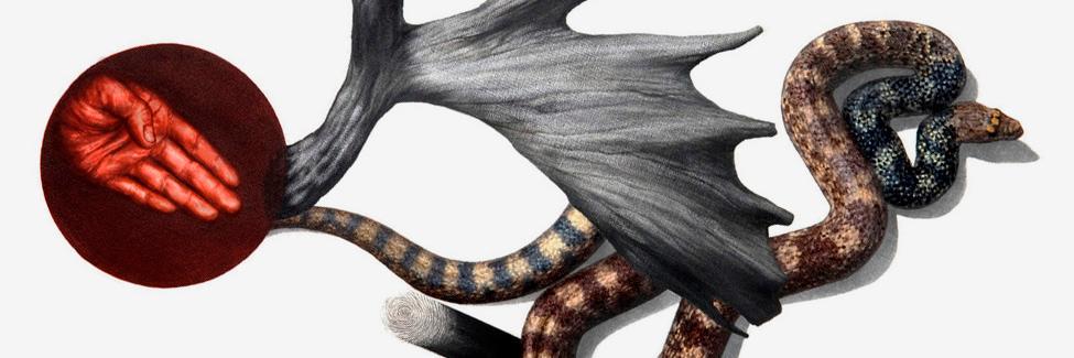FJMorrison's profile banner image