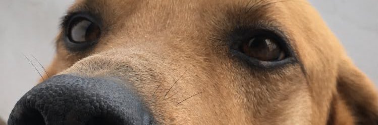 leoinsanex's profile banner image