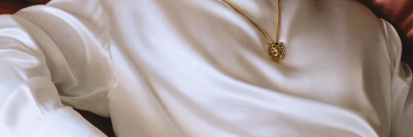 Luke Voyage banner